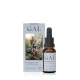 GAL K-complex + D3
