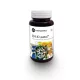 CN-X Lacto 7 probiotic, pentru digestie sensibila, Freyagena, 60 capsule